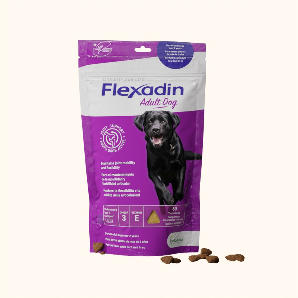 Vetoquinol Flexadin Adult Dog 60 kousků