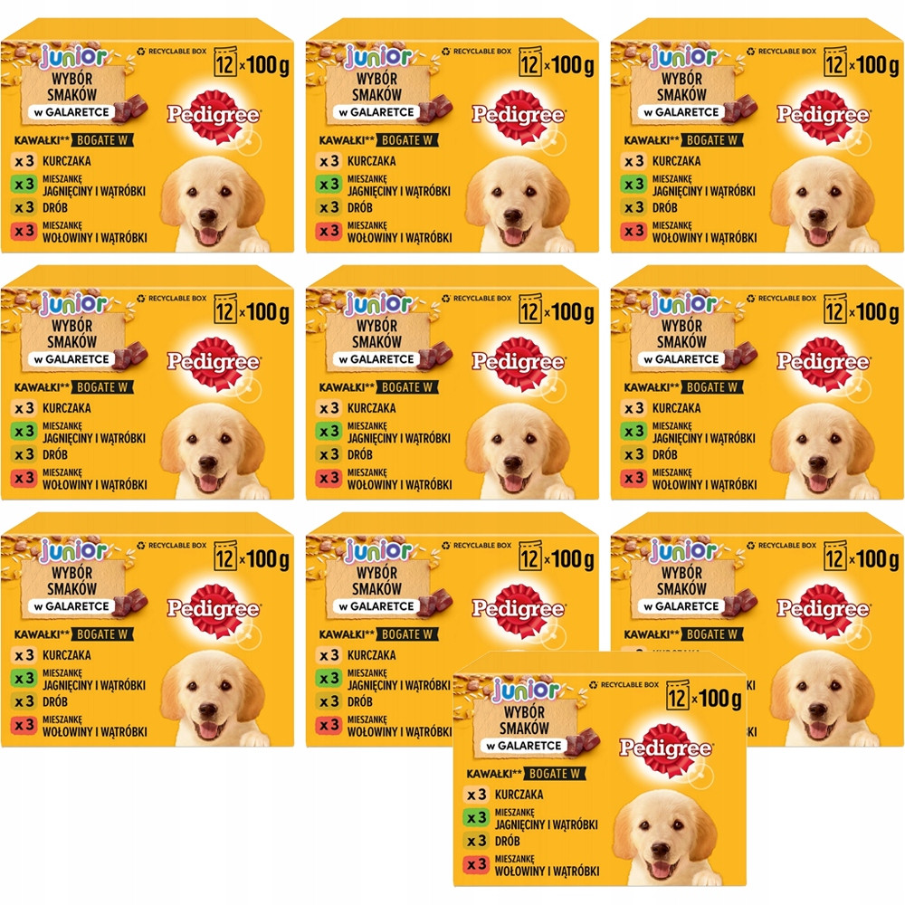 Pedigree Junior Multipack kapsičky v želé - 48 x 100 g Junior 4 Varianty v želé