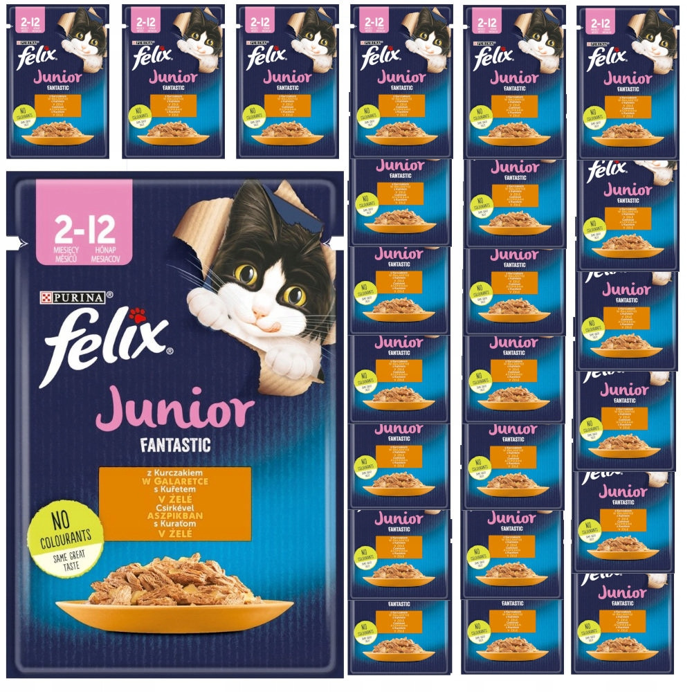 Felix Junior Fantastic Pouches 26 kapsiček (26 x 85 g) - kuřecí