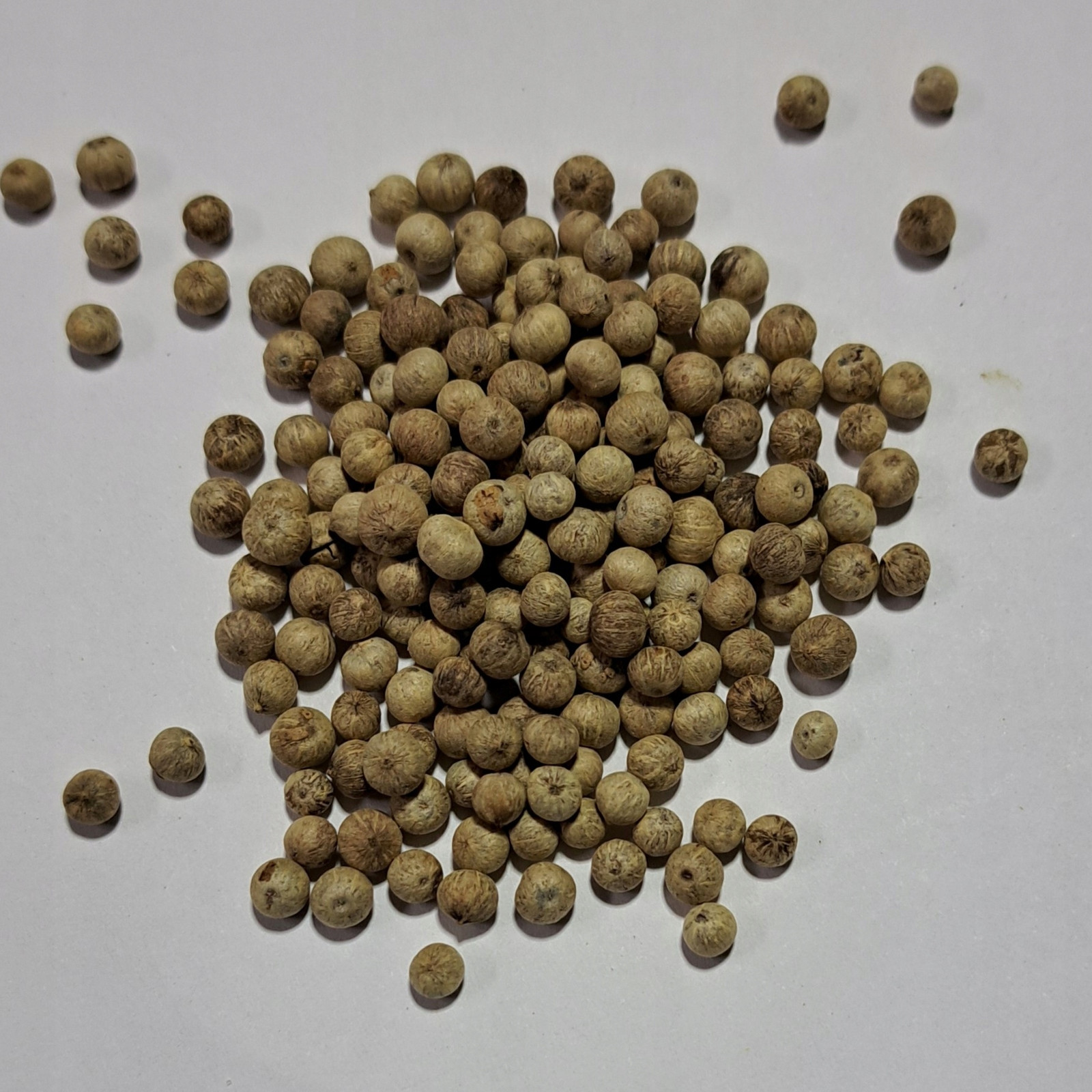 pepř Kampot Bílý Zrno 1 kg Rafex