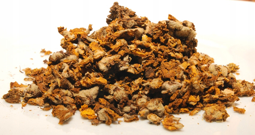 Květina Dívky caly Rafex 1kg