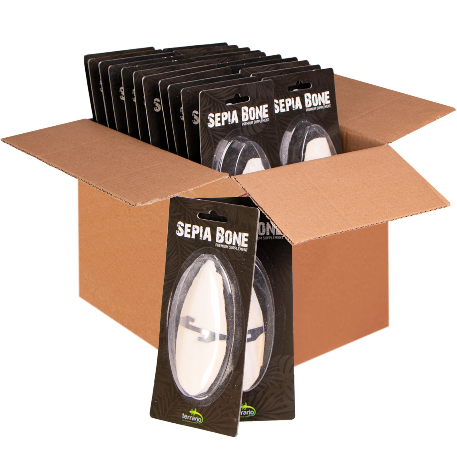 Terrario Sepia Bone – sépie 24 kusů