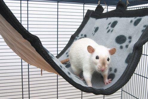 Savic -hammk Relax De Luxe Large