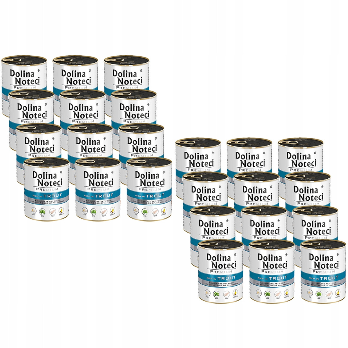 Dolina Noteci Bohaté na pstruha 24 x 400 g