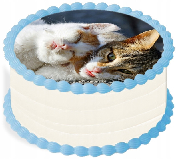 oplatek na dort 29 cm Zvířata Kočička Kočka Narozeniny