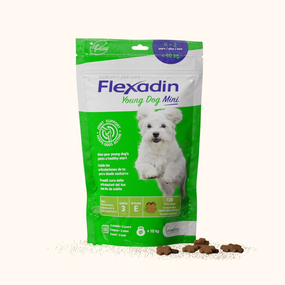 Vetoquinol Flexadin Young Dog Mini 60kusů