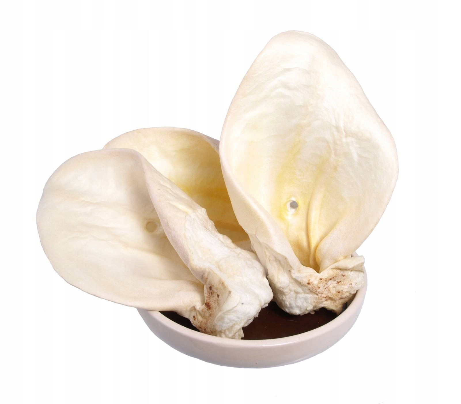 Arami A Uši Volné Bílé (op. 50 ks)