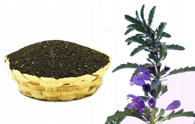 Včelař Moldavská louka dubová medonosná semínka 200g