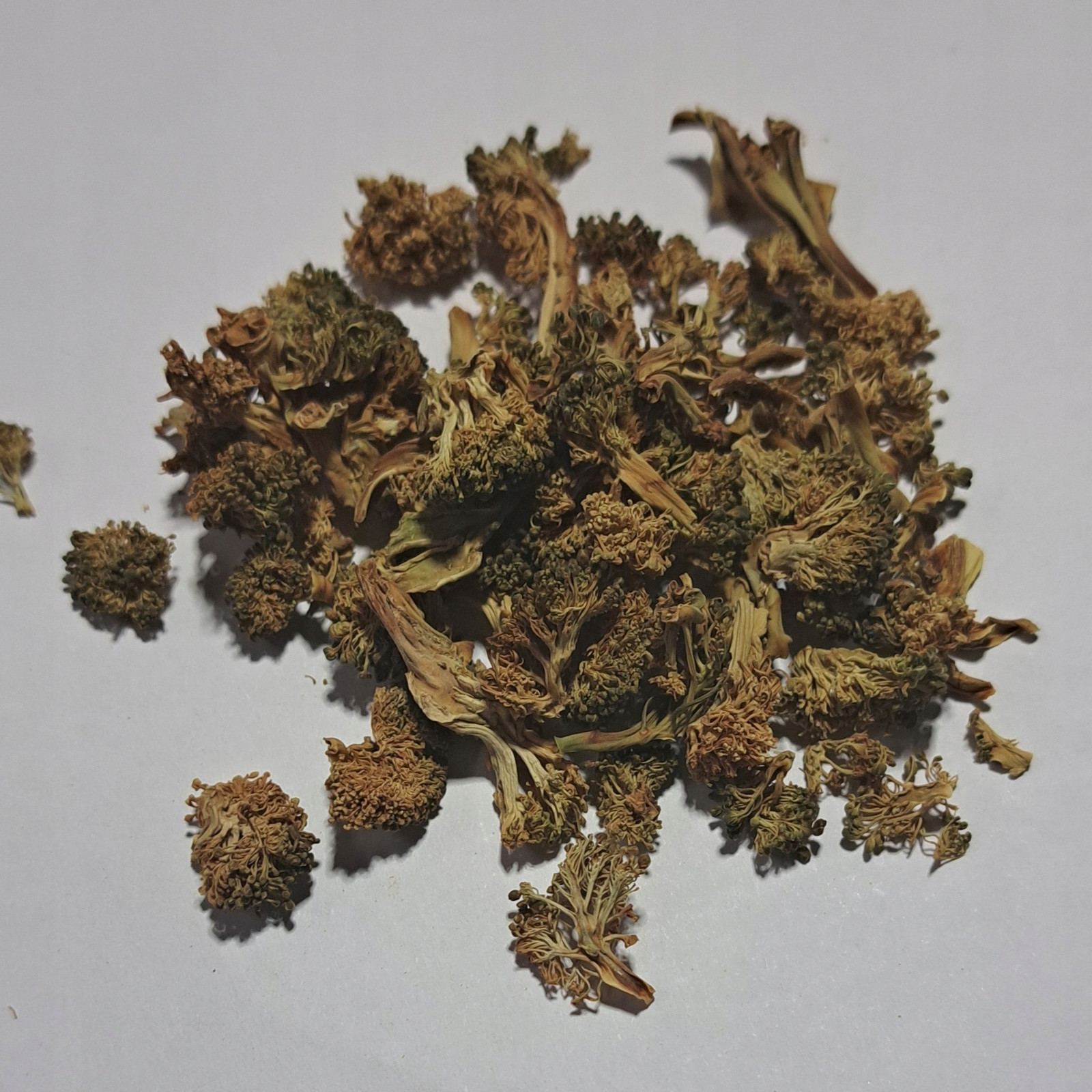 Sušená brokolice Grys 1 Kg Rafex