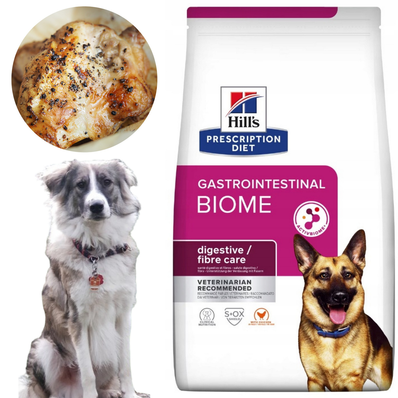 Hill's Pd Gastrointestinal Biome Krmivo na gastrointestinální problémy 1,5 kg