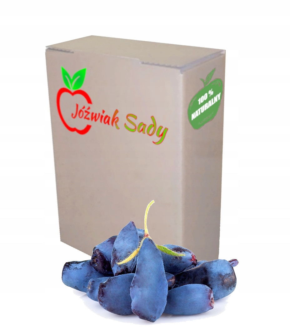 Borůvková šťáva z kamčatských bobulí 100 % 3L