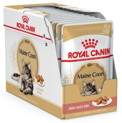 Krmivo pro kočky Royal Canin Maine Coon 12x85g Hračka míček pro kočky