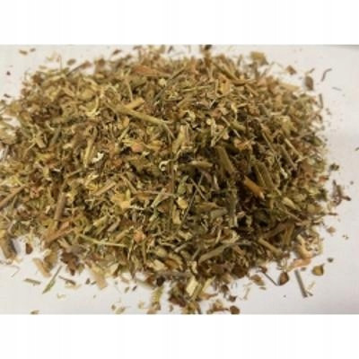 Zrnkovitá skalnice Saxifraga Granulata 1 kg Rafex