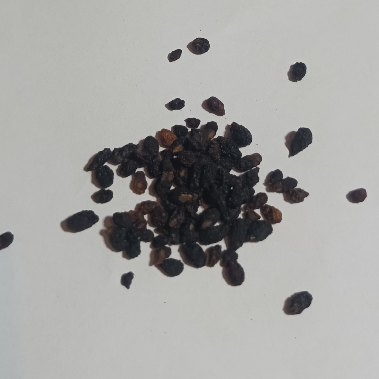 Pepř Patagonský 1 Kg Rafex