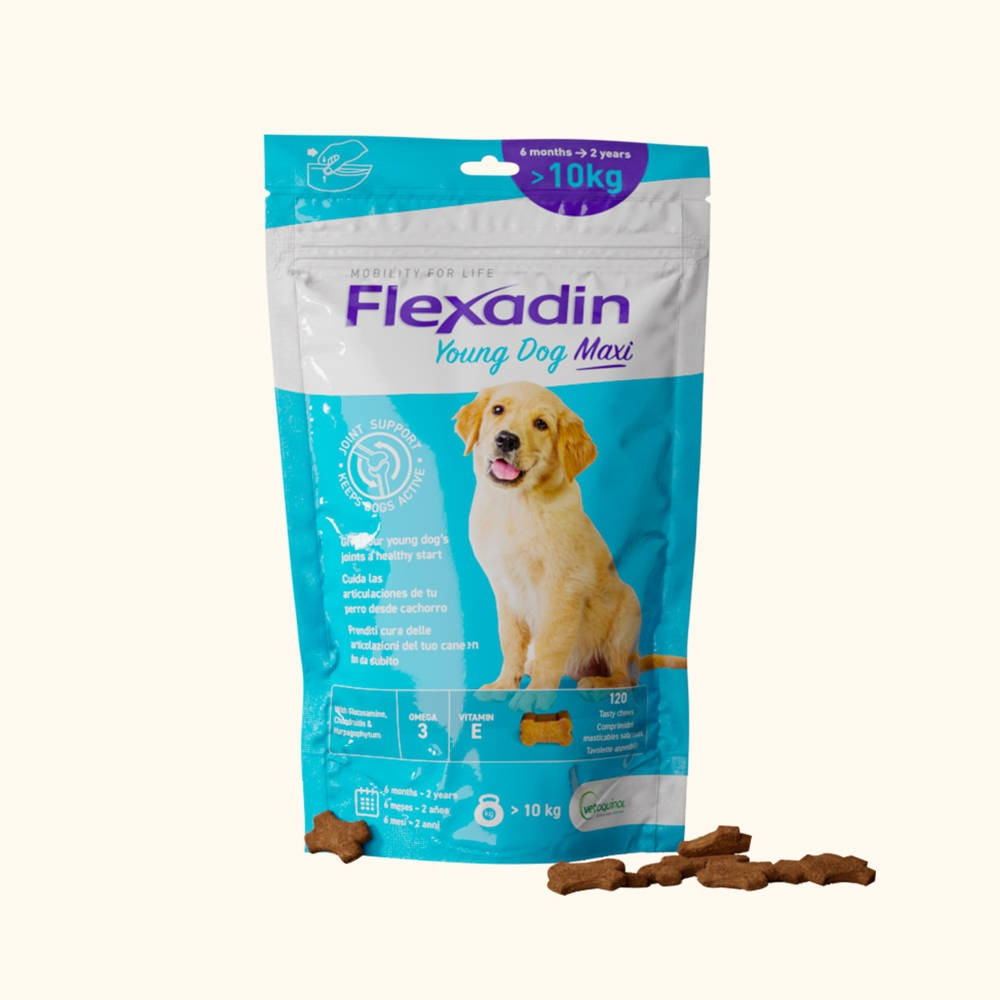 Vetoquinol Flexadin Young Dog Maxi 60 kousků