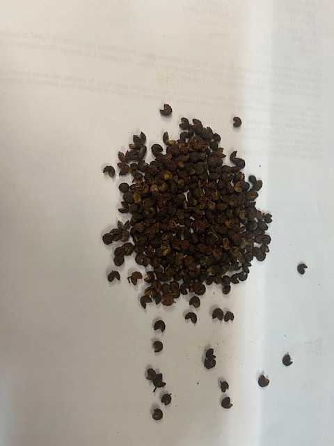 pepř timut 1 Kg Rafex