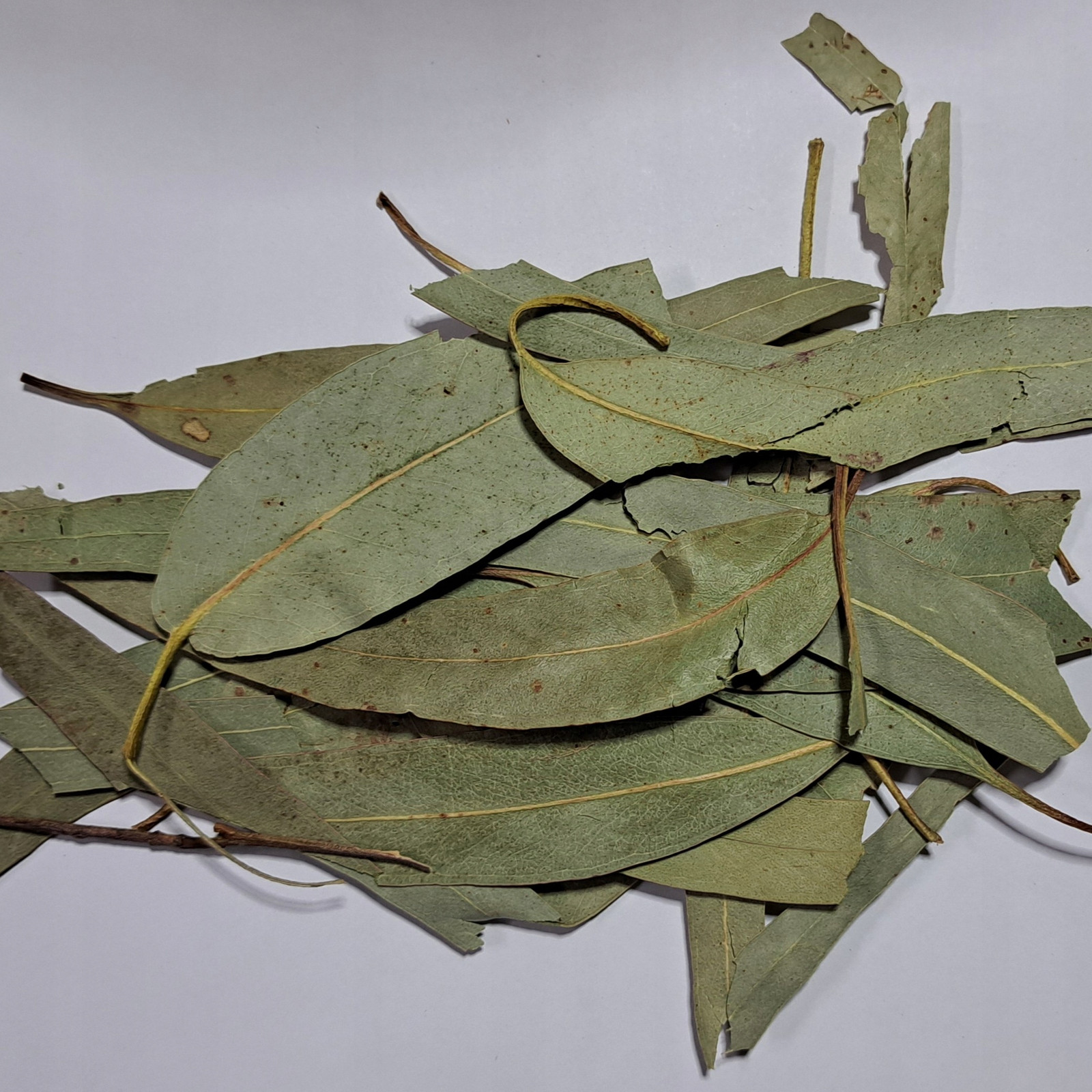 Eukalyptus Celý list Nekrájený 1 kg Rafex