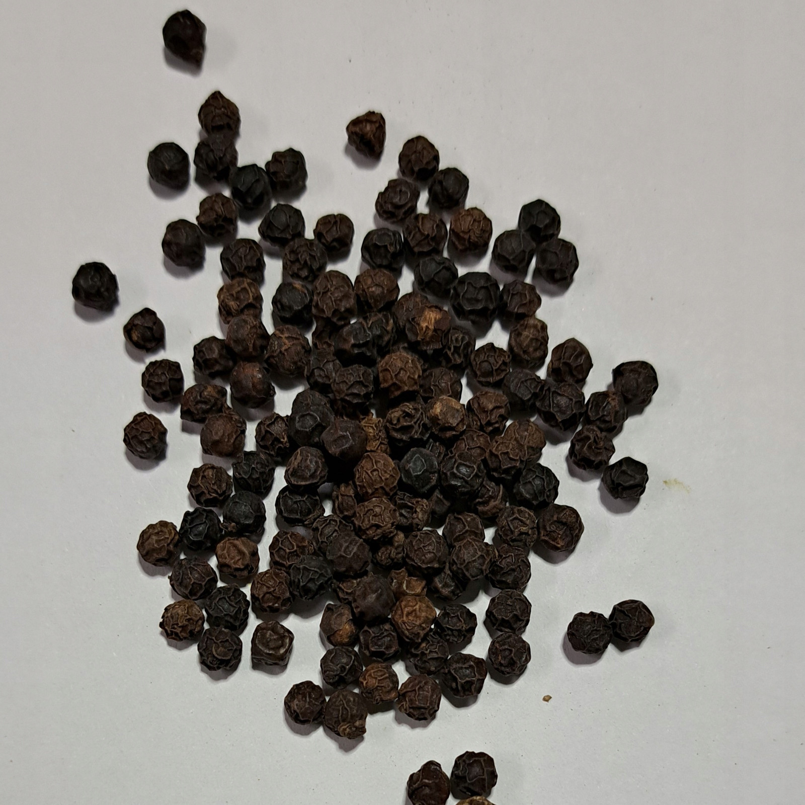 Horský pepř Banasura -indie 1 Kg Rafex