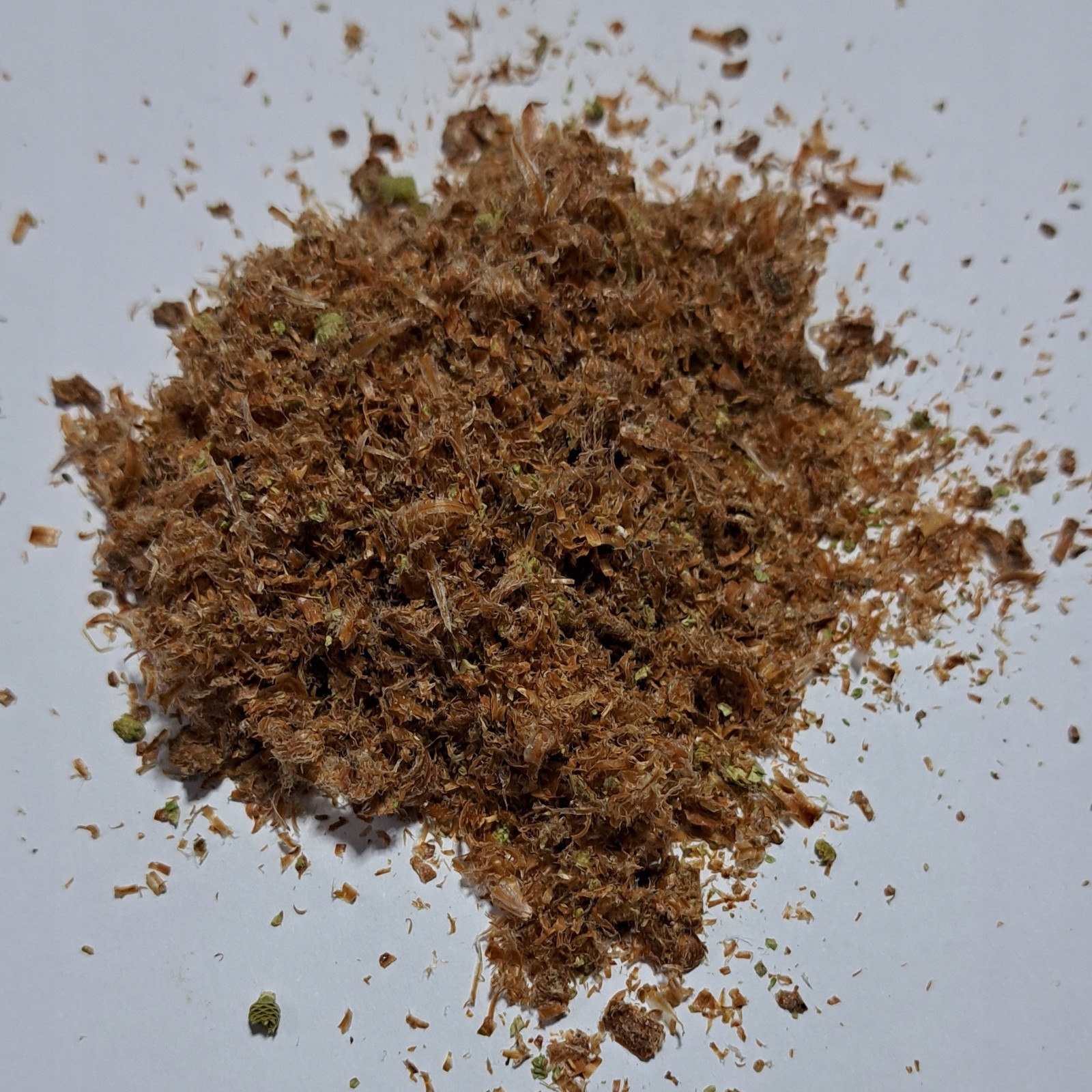 borovice výhonky 1 kg Rafex