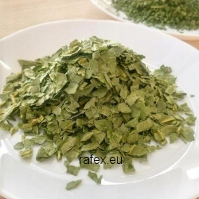 Česnek medvědí lyofilizovaný 1 kg Rafex