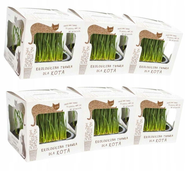 Tráva pro kočky čerstvá Vykynutá Eko pamlsek odpuzující Kot W Butach