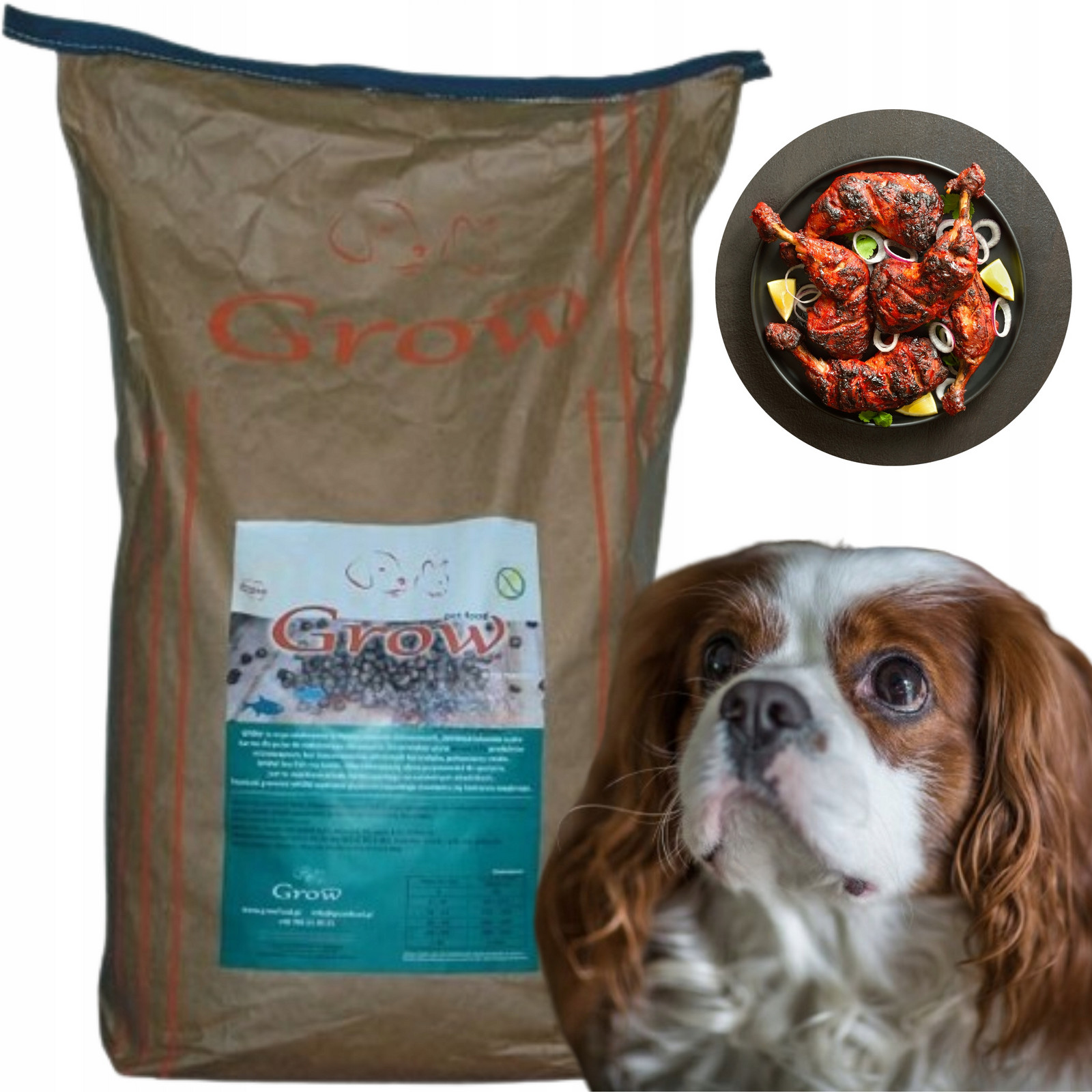Grow Kuřecí Losos Dospělý L Suché Krmivo pro psa Adult Dog Chicken Dog 7 kg