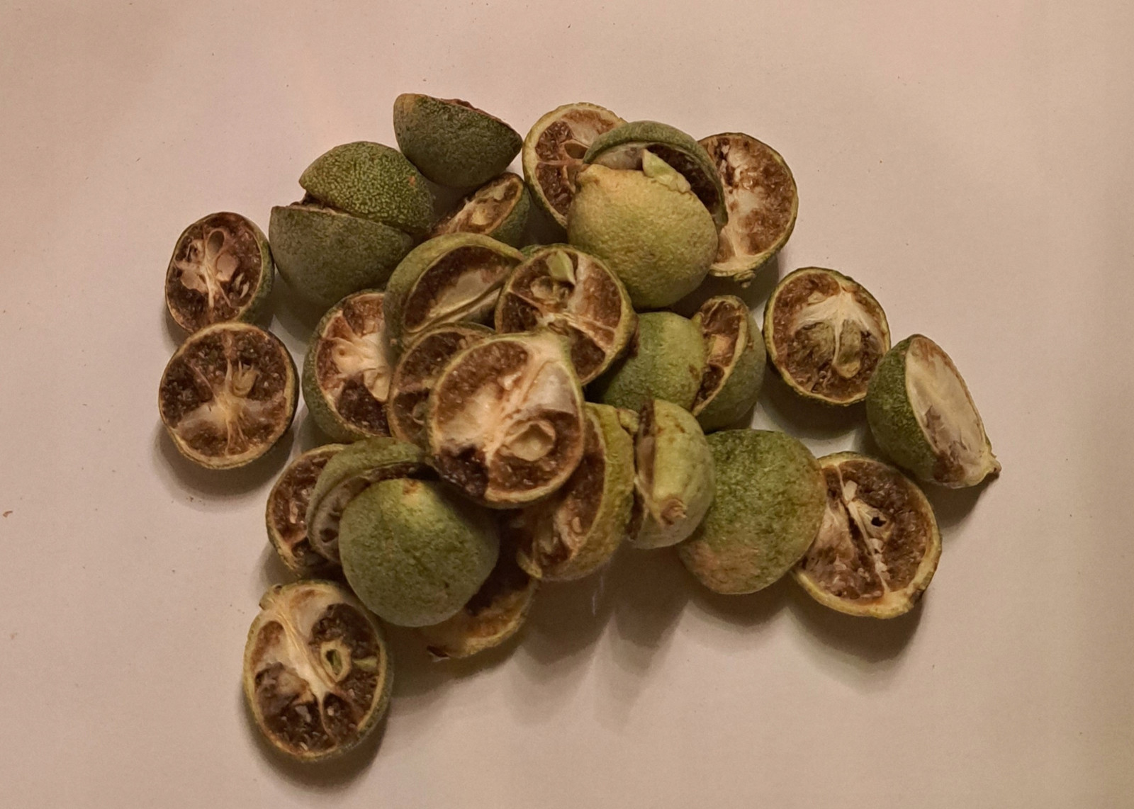 kumquat plod lyofilizovaný 1 Kg Rafex