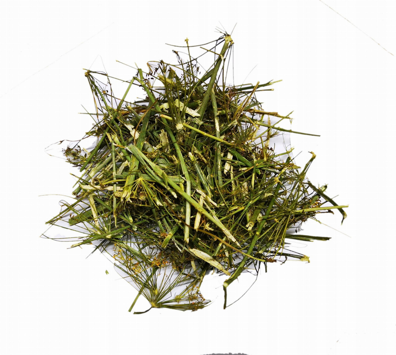 Koper zahradní bylina celá na krmivo 7000g 7kg