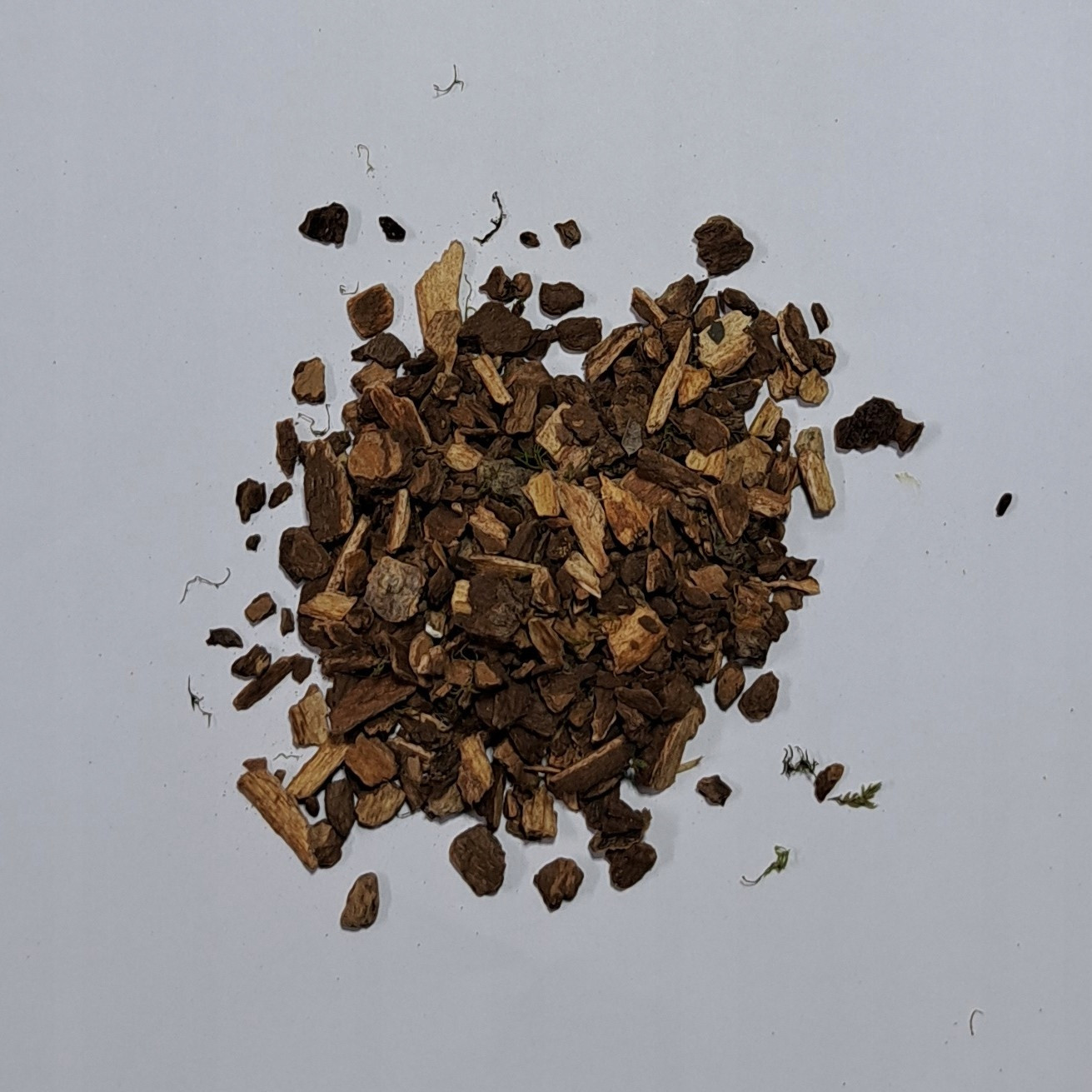 Kalina švestková Viburni Prunifolii 1 Kg Rafex