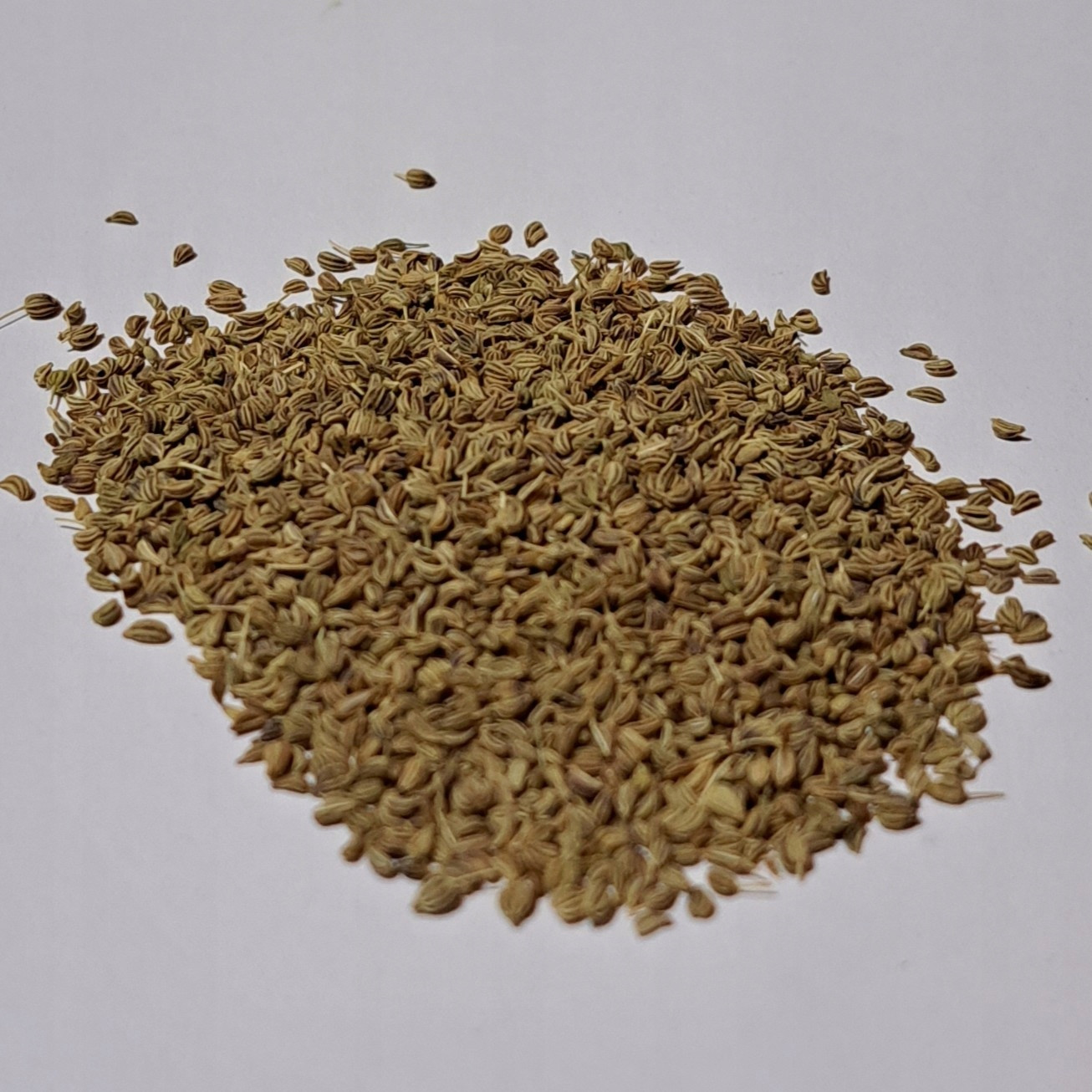 Ajwain ,adžvain Zrno 1 Kg Rafex