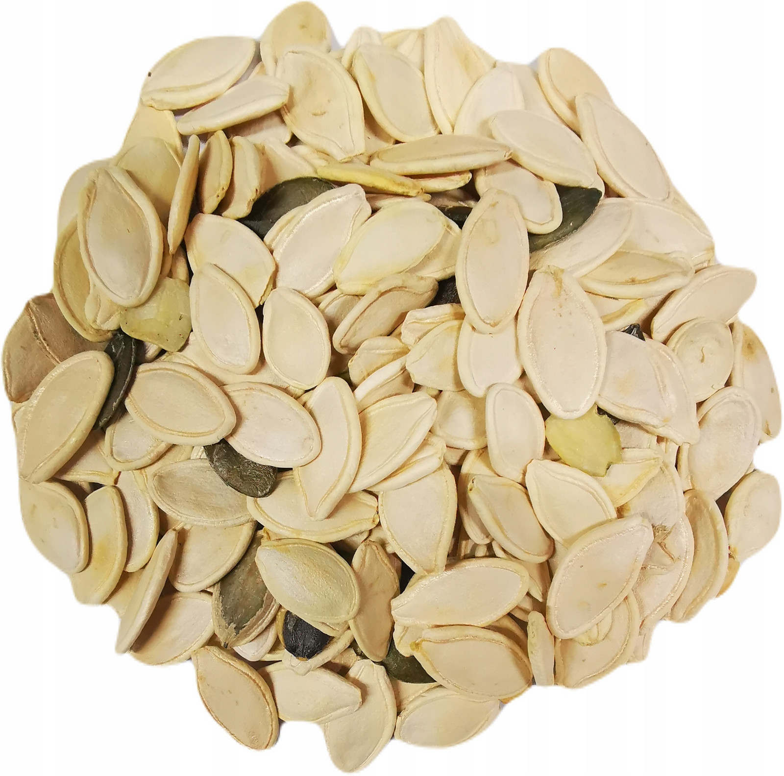 Dýňová semínka ve skořápce na krmivo dýně obecná 5000g 5kg