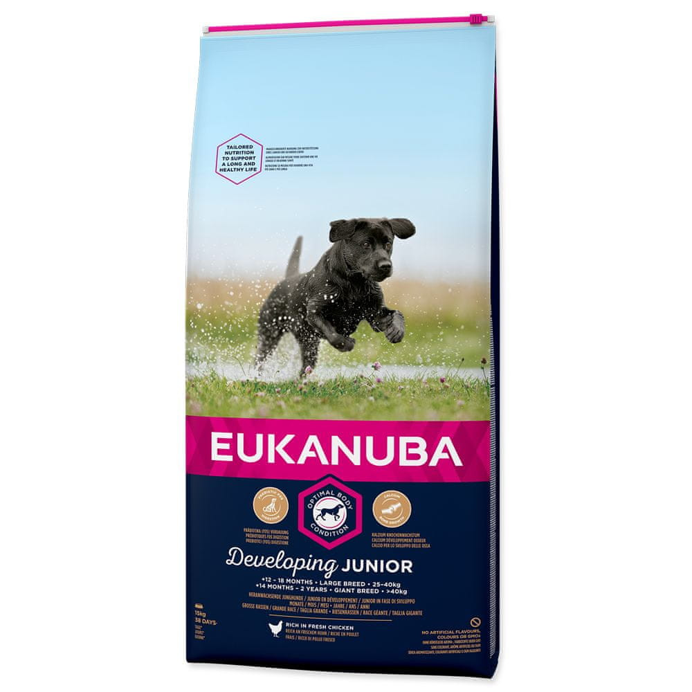 Suché krmivo Eukanuba Junior Large Breed, kuře 15 kg