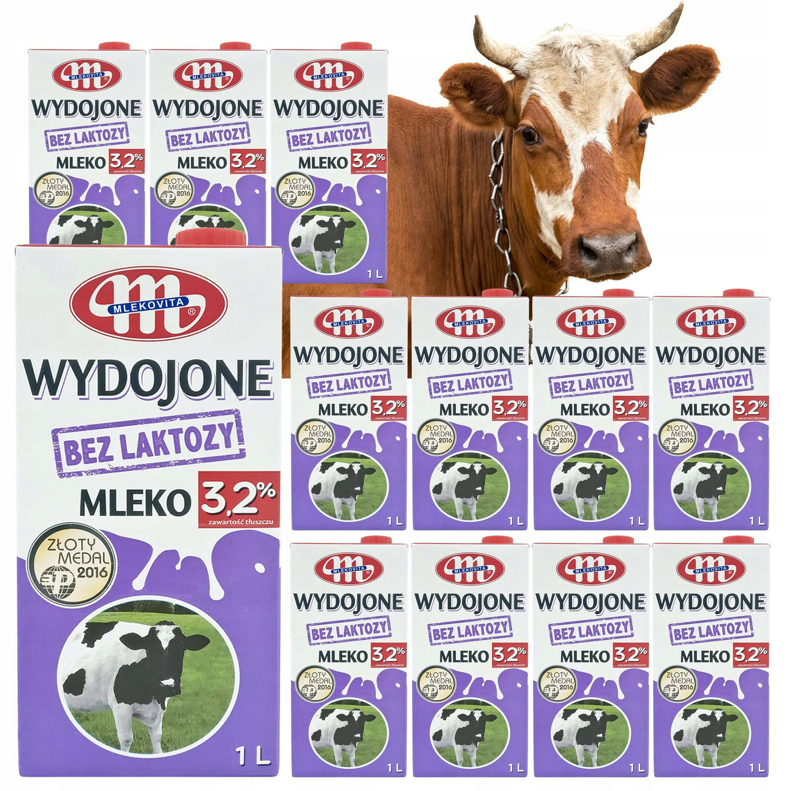 Mléko Bez Laktózy 1l x 12 Hřebíček 3,2% Uht 12l