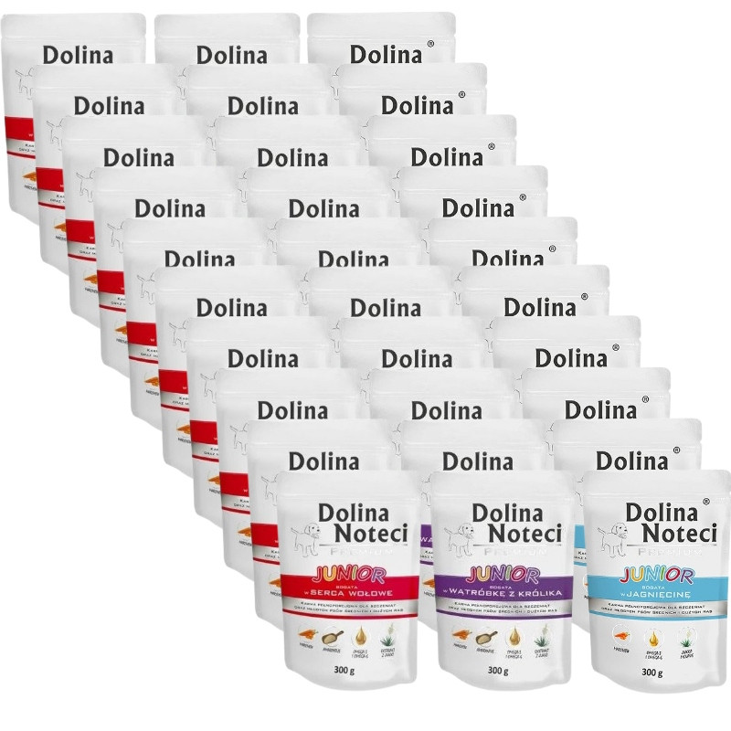 Dolina Noteci Premium Junior mix chutí 30x300g