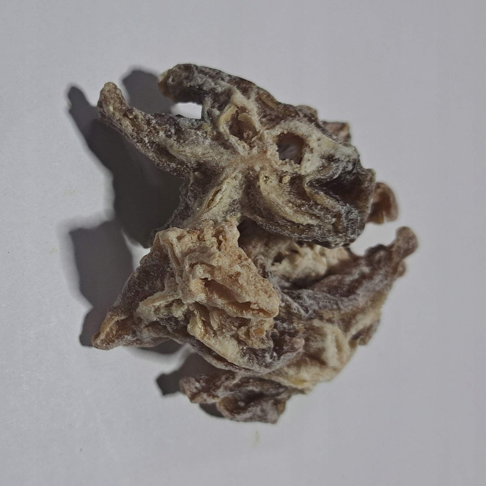 Karambola Oskomian Popolity 1 kg Rafex