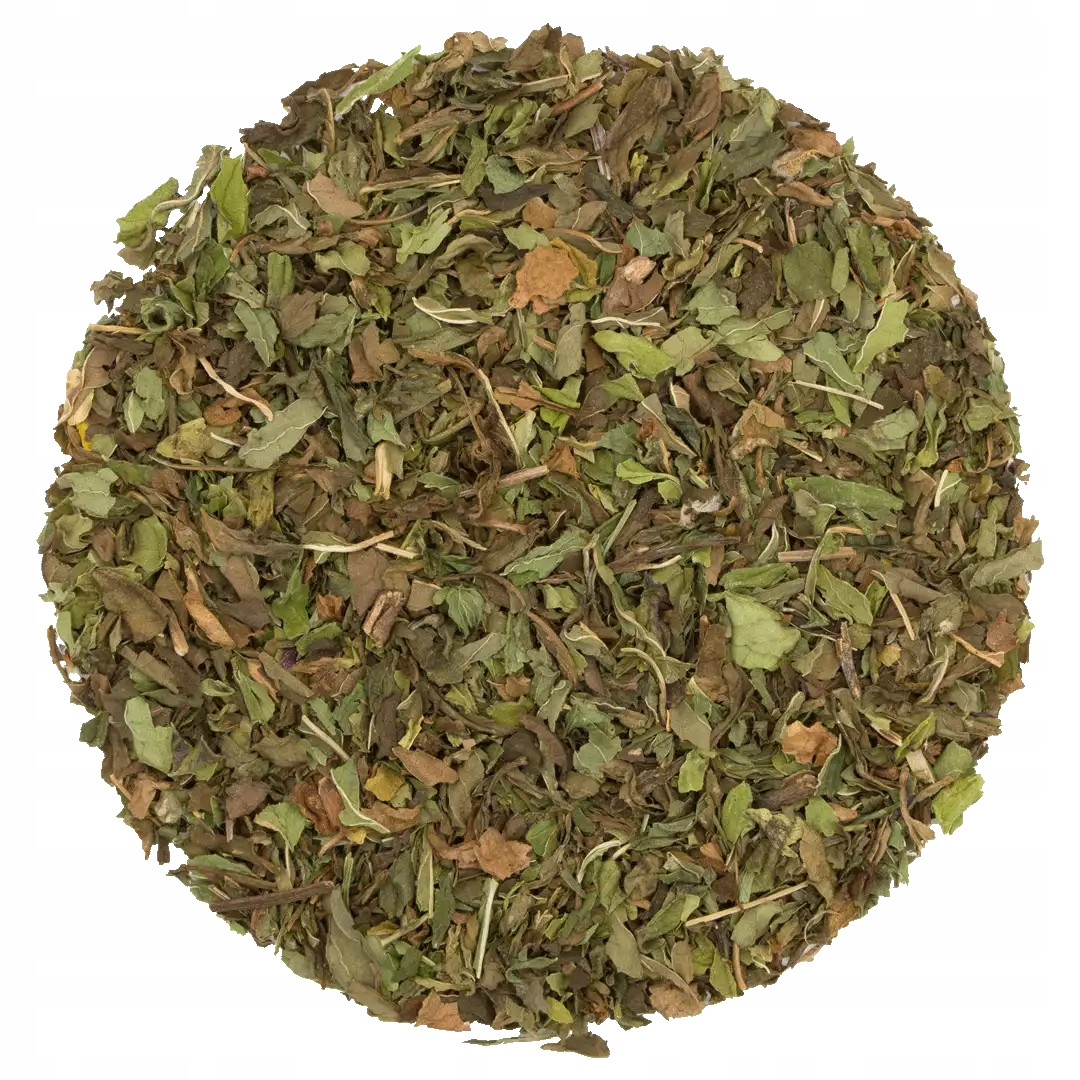 Máta zelený list Spearmint Egypt 5 kg