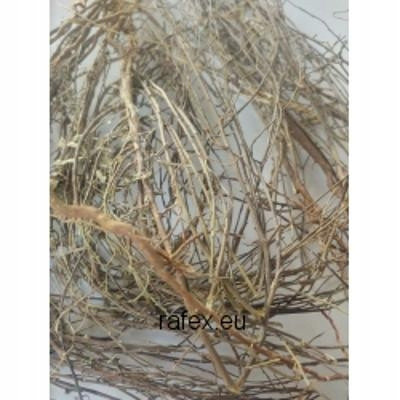 Chanca Piedra Herb Phyllanthus Niruri 1 kg Rafex