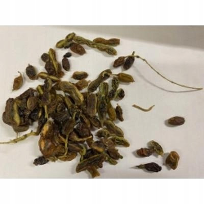 Sofora Ovoce Sophora Japonica Fructus 1 Kg Rafex