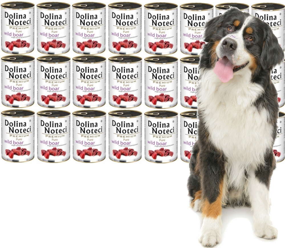 Dolina Noteci Premium Pure Divočák 24x400g