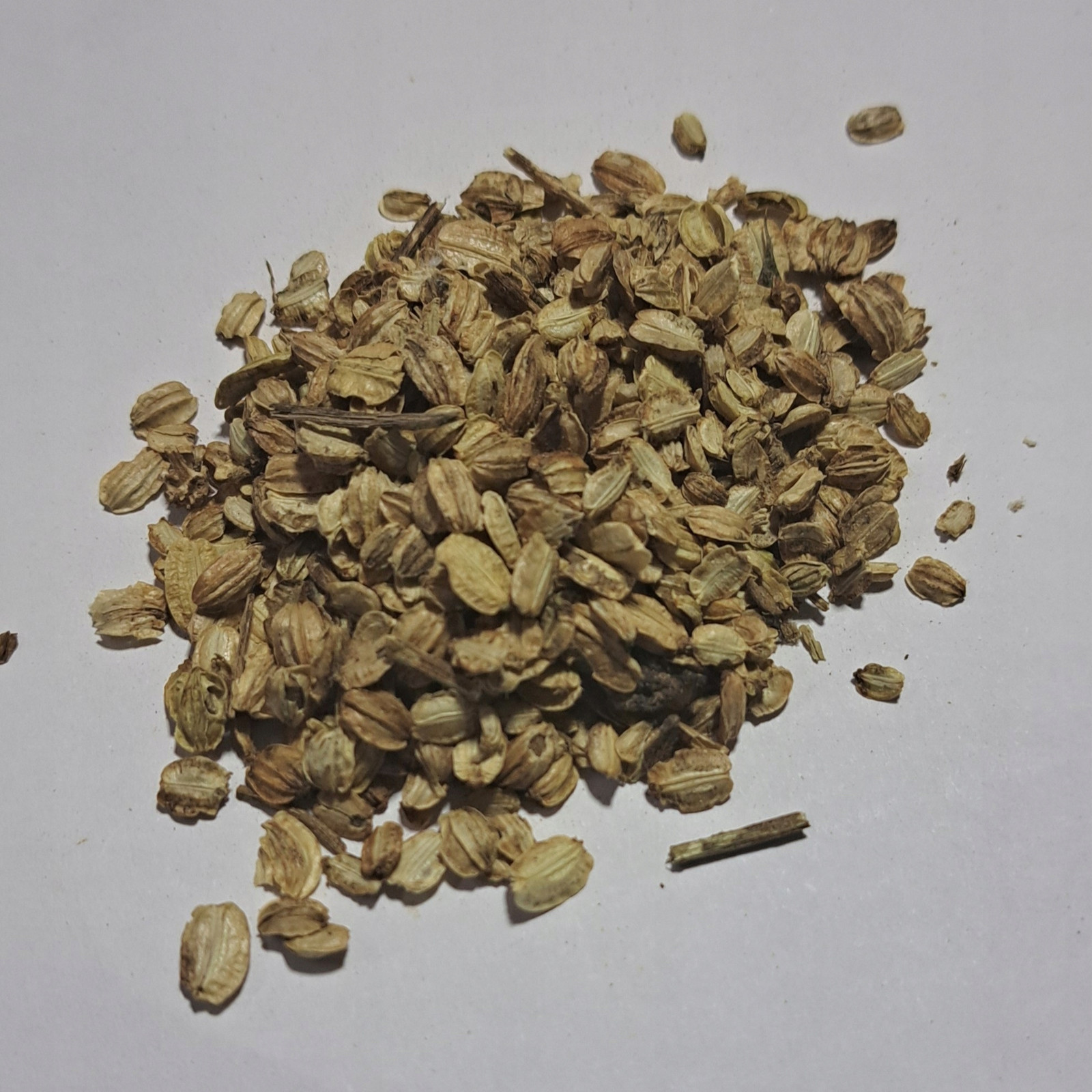 Arciděhel Semena 1 kg Rafex