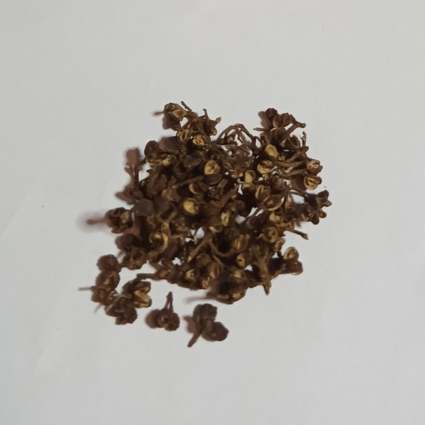 Pepř Andalimanský caly 1 Kg Rafex