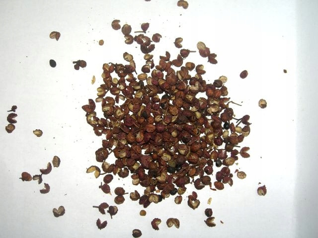 pepř Sečuánský celý 25 Kg Rafex