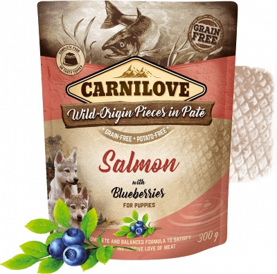 Carnilove Salmon with Blueberries for Puppies 12x300 g