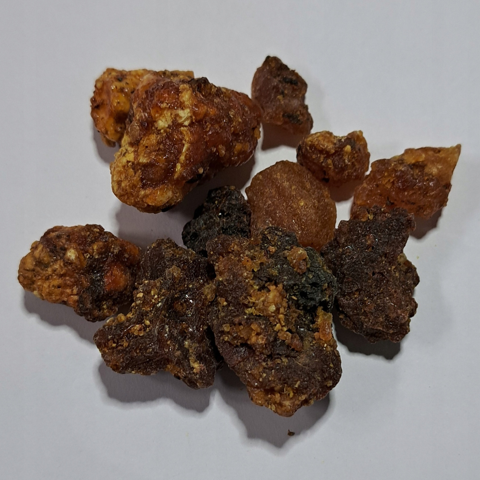 Opopanax Chironium 1 Kg Rafex