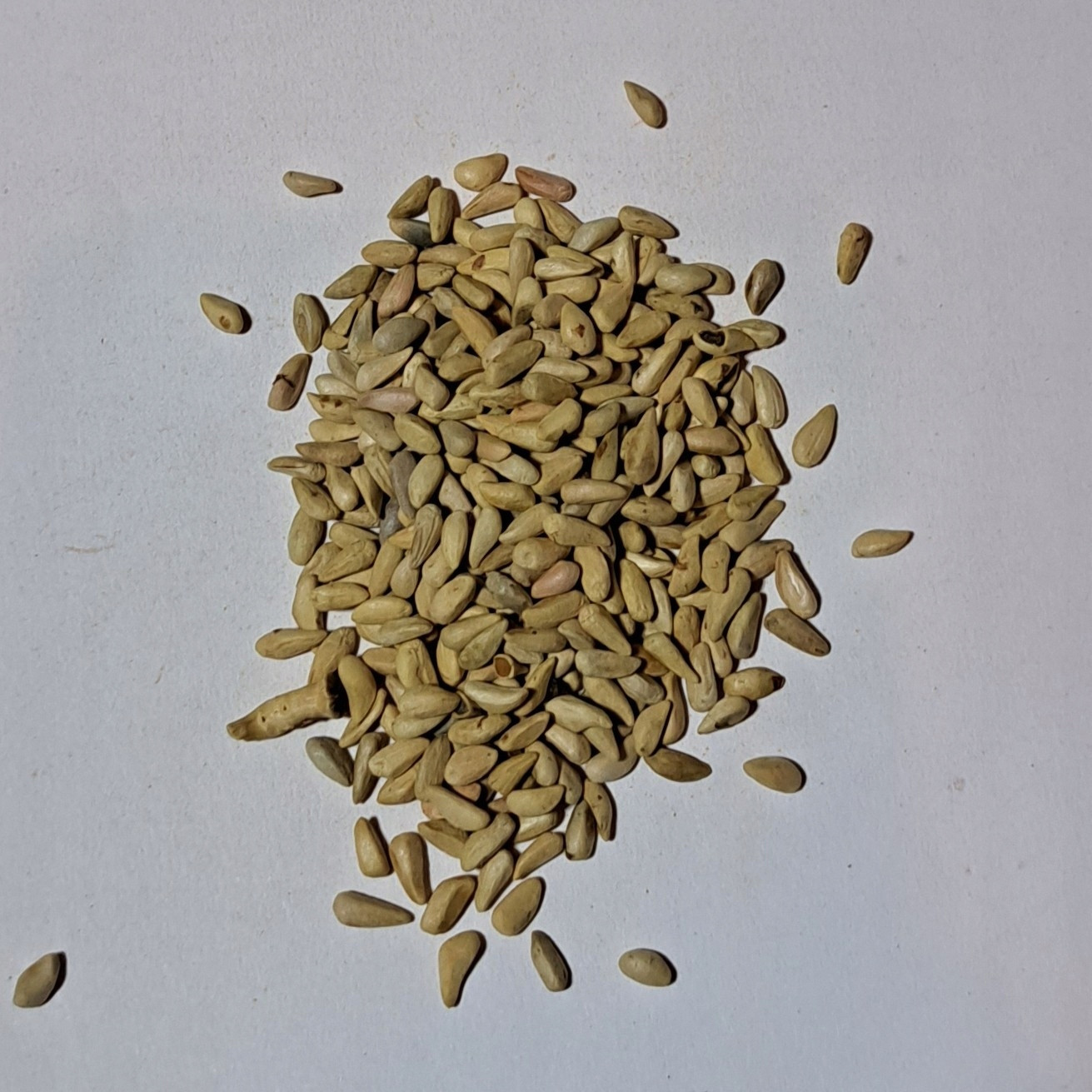 Granátové jablko Pestka 1kg Rafex