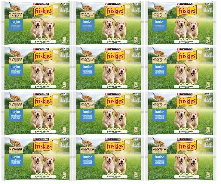 Friskies Junior krmivo pro psy kuře s hráškem v želé 48x85 g
