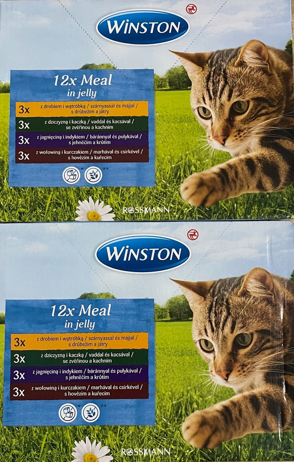 Winston jelly mix chutí 2,4 kg v želé 24x100