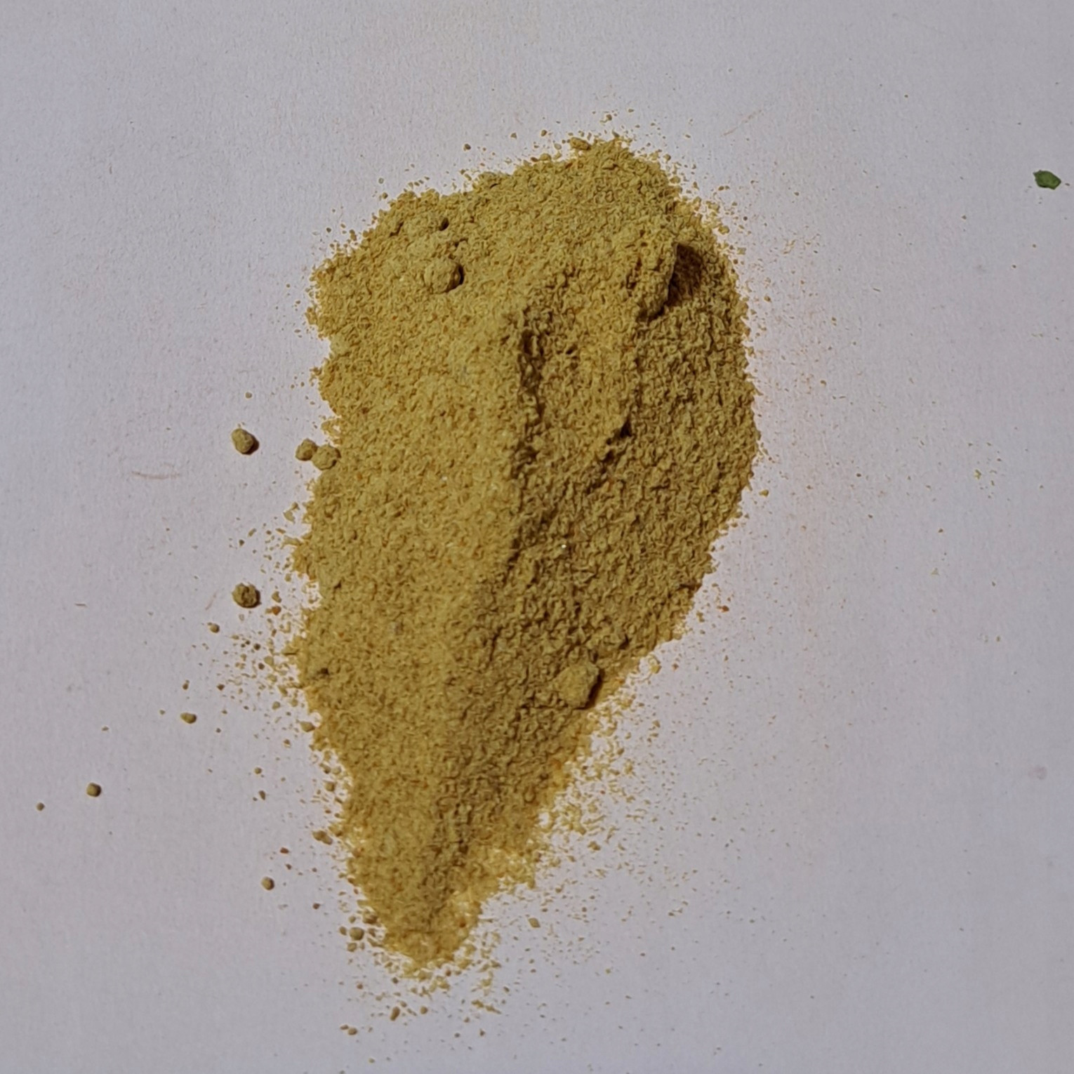 Astafetida 1 kg Rafex