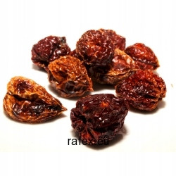 paprika Habanero čokoládová 1 Kg Rafex