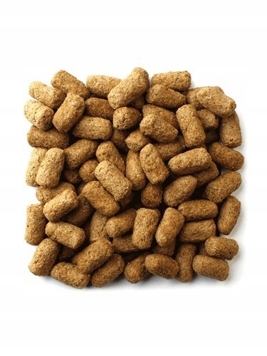 NutraZu krmivo pro suchozemské želvy 1000g